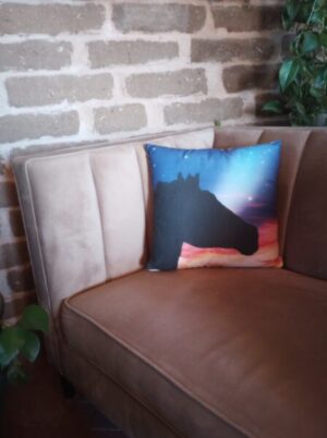 art throw pillow on sofa