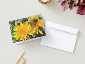 Flower and Bee Greeting Cards
