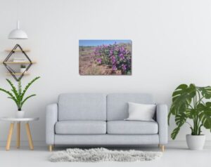 original photographic print