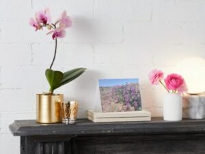 Desert Four O'Clock at Ghost Ranch Greeting Cards