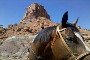 karen butts ghost ranch photograph