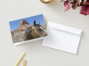 greeting cards