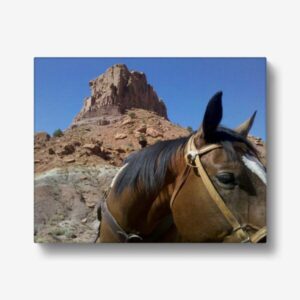 karen butts photography gallery board print