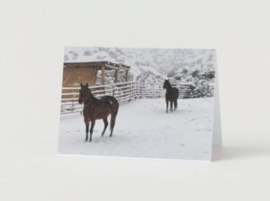 Horses In Snow Holiday Greeting Cards