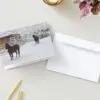 Horses In Snow HOliday Cards