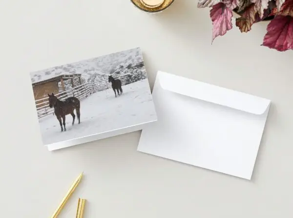 Horses In Snow HOliday Cards