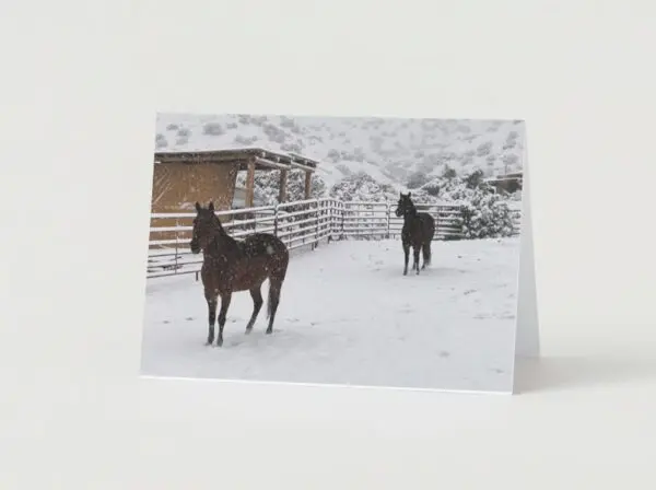 Horses In Snow Holiday Greeting Cards