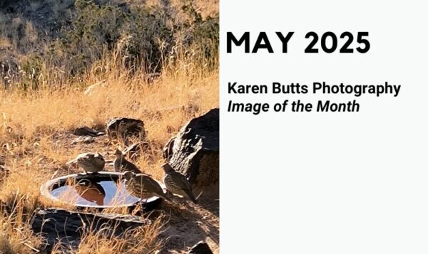 Karen Butts Photography Studio Karen Butts Photography Studio