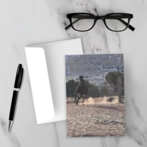 Karen Butts photography